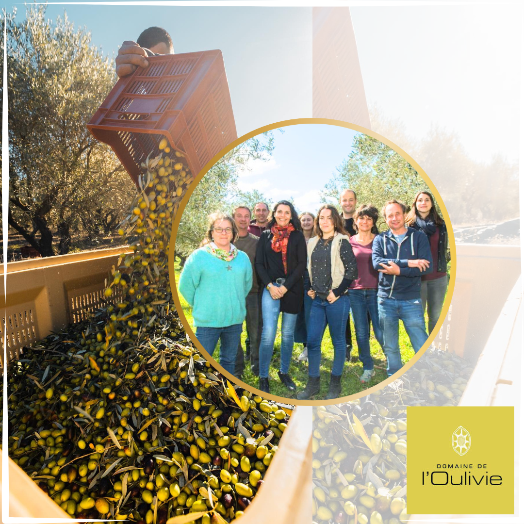 Domaine Oulivie montage photo site equipe logo